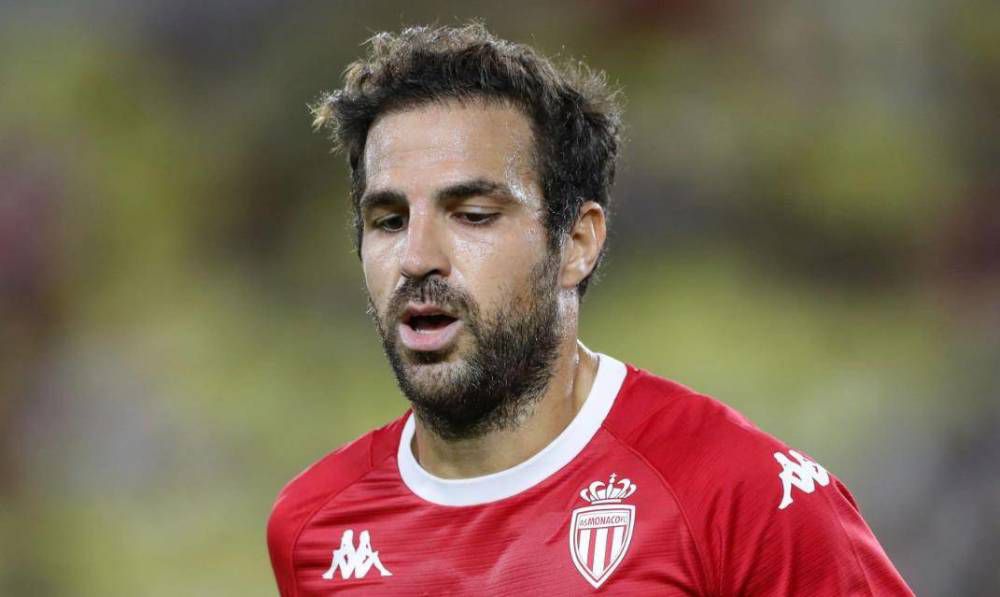 久草热线