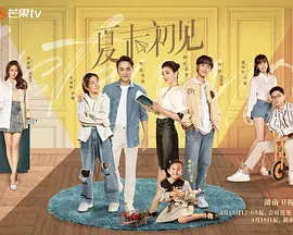 国产精品自在在线午夜区app