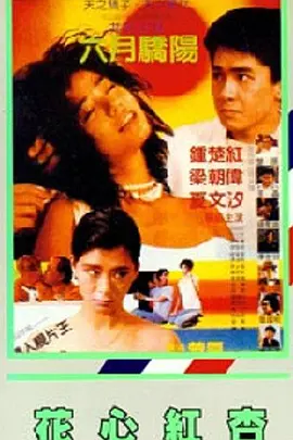 在线观看你懂的视频