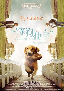 国产精品入口麻豆高清