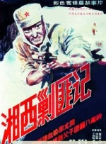 91视频免费下载