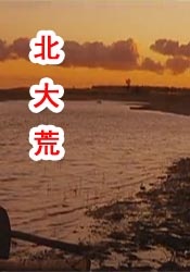 国产a一级