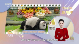 欧美成人日本