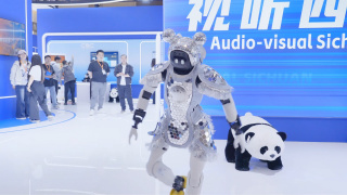 久久96国产精品久久久